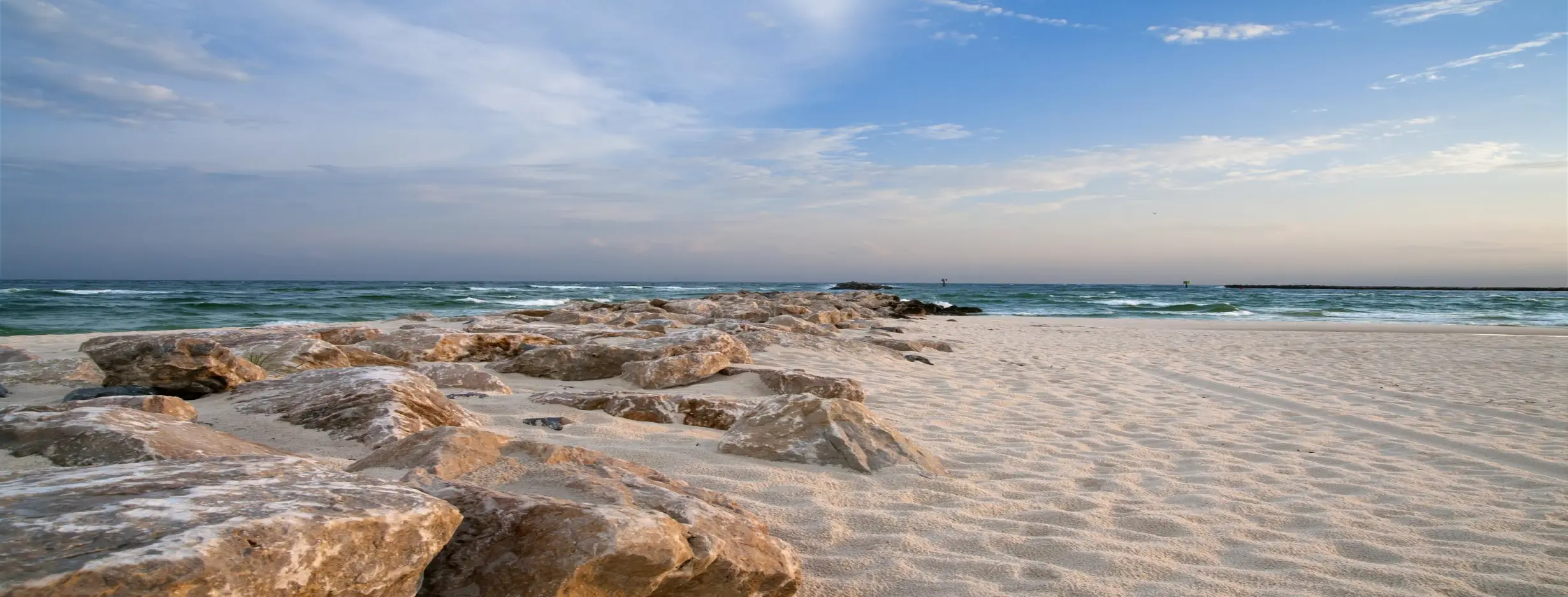 Image for Diverse Landscapes